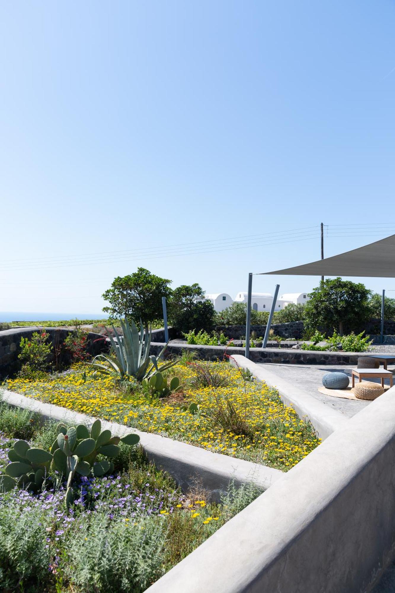 Soil Of Sun Luxury Villas Megalochori  Exteriér fotografie